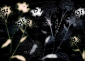 poster NO 14-898-8